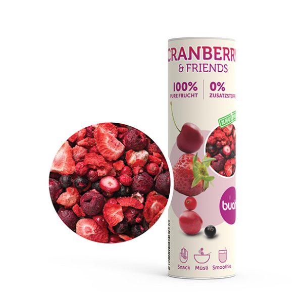 Snack-Smoothie-Dose – Cranberry