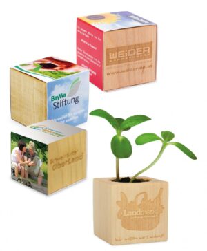 Pflanz-Holz als Werbeartikel mit Logo im PRESIT Online-Shop bedrucken lassen