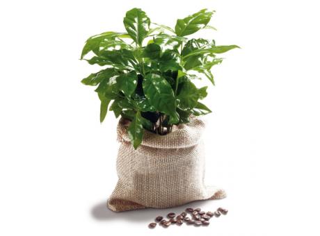 Reiche Ernte im Kaffeesack - Minipflanze als Werbeartikel mit Logo bedrucken