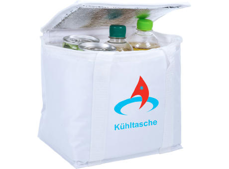 Kühltaschen-Box als Werbeartikel mit Logo bedrucken