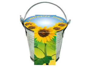 Zinkeimerchen Zwergsonnenblume als Werbeartikel mit Logo bedrucken